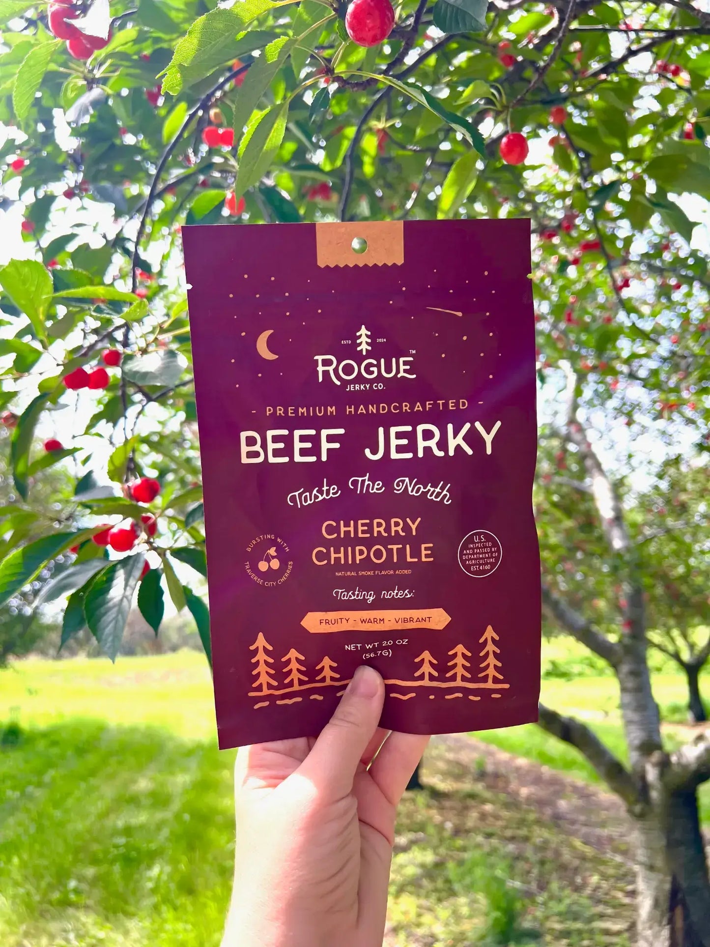 Rogue Jerky - Premium Jerky